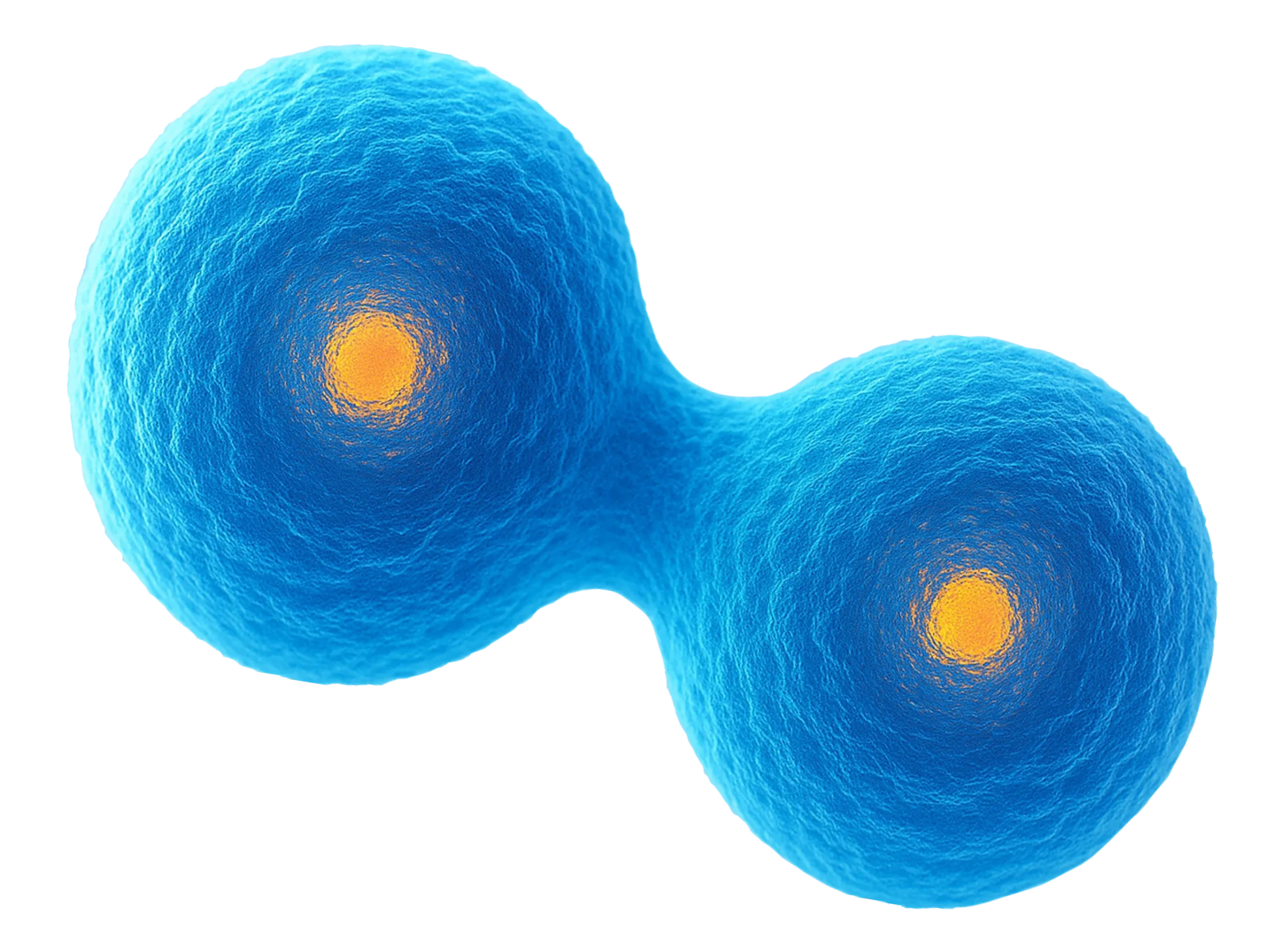 Hydrogen Atom